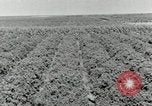 Image of downtown Forth Worth Texas early 1940s Texas United States USA, 1942, second 40 stock footage video 65675028178
