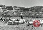 Image of downtown Forth Worth Texas early 1940s Texas United States USA, 1942, second 42 stock footage video 65675028178