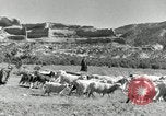 Image of downtown Forth Worth Texas early 1940s Texas United States USA, 1942, second 43 stock footage video 65675028178