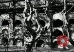 Image of Paco cemetery Manila Philippines, 1916, second 19 stock footage video 65675028180