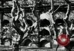 Image of Paco cemetery Manila Philippines, 1916, second 21 stock footage video 65675028180