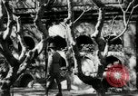 Image of Paco cemetery Manila Philippines, 1916, second 23 stock footage video 65675028180