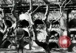Image of Paco cemetery Manila Philippines, 1916, second 24 stock footage video 65675028180