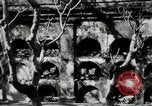 Image of Paco cemetery Manila Philippines, 1916, second 28 stock footage video 65675028180