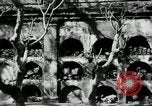 Image of Paco cemetery Manila Philippines, 1916, second 29 stock footage video 65675028180