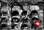 Image of Paco cemetery Manila Philippines, 1916, second 30 stock footage video 65675028180