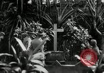Image of Jose Rizal Manila Philippines, 1936, second 3 stock footage video 65675028181