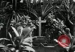 Image of Jose Rizal Manila Philippines, 1936, second 5 stock footage video 65675028181
