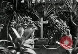 Image of Jose Rizal Manila Philippines, 1936, second 9 stock footage video 65675028181