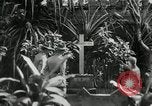 Image of Jose Rizal Manila Philippines, 1936, second 10 stock footage video 65675028181