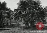 Standbild Frauen Philippinen, 1936, aus Sekunde 10 historischem Filmmaterial Videoclip 65675028186