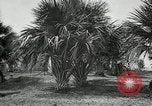 Standbild Frauen Philippinen, 1936, aus Sekunde 12 historischem Filmmaterial Videoclip 65675028186