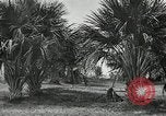 Standbild Frauen Philippinen, 1936, aus Sekunde 16 historischem Filmmaterial Videoclip 65675028186