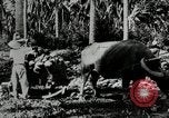 Standbild Männer Philippinen, 1936, aus Sekunde 3 historischem Filmmaterial Videoclip 65675028187