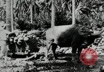 Standbild Männer Philippinen, 1936, aus Sekunde 5 historischem Filmmaterial Videoclip 65675028187