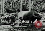 Standbild Männer Philippinen, 1936, aus Sekunde 6 historischem Filmmaterial Videoclip 65675028187