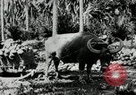 Standbild Männer Philippinen, 1936, aus Sekunde 7 historischem Filmmaterial Videoclip 65675028187