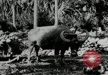 Standbild Männer Philippinen, 1936, aus Sekunde 8 historischem Filmmaterial Videoclip 65675028187