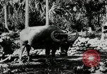Standbild Männer Philippinen, 1936, aus Sekunde 9 historischem Filmmaterial Videoclip 65675028187