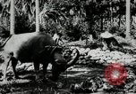 Standbild Männer Philippinen, 1936, aus Sekunde 11 historischem Filmmaterial Videoclip 65675028187