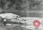 Standbild Männer Philippinen, 1936, aus Sekunde 24 historischem Filmmaterial Videoclip 65675028187