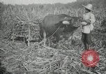 Standbild Mann Philippinen, 1936, aus Sekunde 6 historischem Filmmaterial Videoclip 65675028188