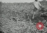 Standbild Mann Philippinen, 1936, aus Sekunde 8 historischem Filmmaterial Videoclip 65675028188