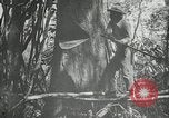 Standbild Mann Philippinen, 1936, aus Sekunde 3 historischem Filmmaterial Videoclip 65675028189