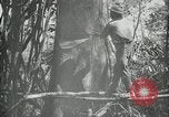Standbild Mann Philippinen, 1936, aus Sekunde 5 historischem Filmmaterial Videoclip 65675028189