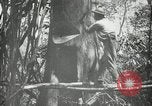 Standbild Mann Philippinen, 1936, aus Sekunde 6 historischem Filmmaterial Videoclip 65675028189