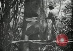 Standbild Mann Philippinen, 1936, aus Sekunde 10 historischem Filmmaterial Videoclip 65675028189