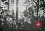 Standbild Mann Philippinen, 1936, aus Sekunde 11 historischem Filmmaterial Videoclip 65675028189