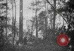 Standbild Mann Philippinen, 1936, aus Sekunde 13 historischem Filmmaterial Videoclip 65675028189