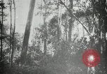 Standbild Mann Philippinen, 1936, aus Sekunde 18 historischem Filmmaterial Videoclip 65675028189