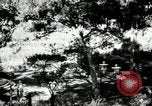 Image of Igorots Philippines, 1936, second 21 stock footage video 65675028190