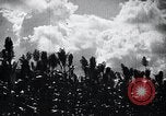 Image of civilians Hsinking Manchuria, 1932, second 50 stock footage video 65675028199