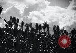 Image of civilians Hsinking Manchuria, 1932, second 51 stock footage video 65675028199