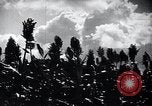 Image of civilians Hsinking Manchuria, 1932, second 52 stock footage video 65675028199