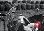 Image of prisoners of war Manchuria China, 1945, second 60 stock footage video 65675028202