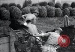 Image of prisoners of war Manchuria China, 1945, second 61 stock footage video 65675028202