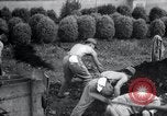 Image of prisoners of war Manchuria China, 1945, second 62 stock footage video 65675028202