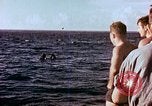 Image of Australian prisoners of war Philippines, 1944, second 10 stock footage video 65675028203