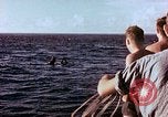 Image of Australian prisoners of war Philippines, 1944, second 11 stock footage video 65675028203