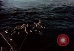 Image of Australian prisoners of war Philippines, 1944, second 11 stock footage video 65675028204