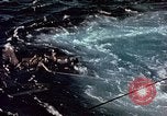 Image of Australian prisoners of war Philippines, 1944, second 15 stock footage video 65675028204