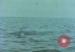 Image of Australian prisoners of war Philippines, 1944, second 18 stock footage video 65675028204