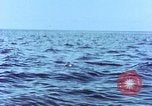 Image of Australian prisoners of war Philippines, 1944, second 27 stock footage video 65675028204