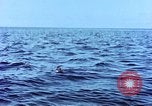 Image of Australian prisoners of war Philippines, 1944, second 32 stock footage video 65675028204