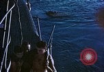 Image of Australian prisoners of war Philippines, 1944, second 61 stock footage video 65675028205