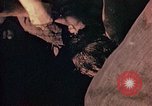 Image of Australian survivors of Rakuyo Maru Philippines, 1944, second 45 stock footage video 65675028206